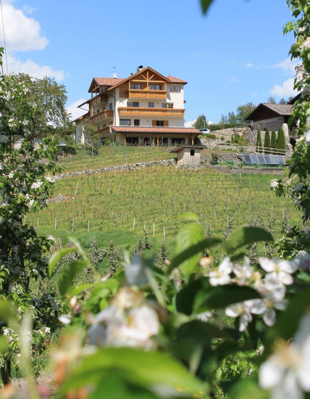 Trinnerhof- Hof Chalets Und Obsthof Mit Zimmer Natz-Schabs Zewnętrze zdjęcie