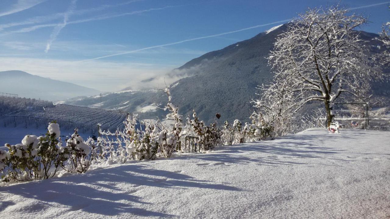Trinnerhof- Hof Chalets Und Obsthof Mit Zimmer Natz-Schabs Zewnętrze zdjęcie